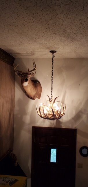 Whitetail Deer 9 Faux Antler Cascade Large Chandelier